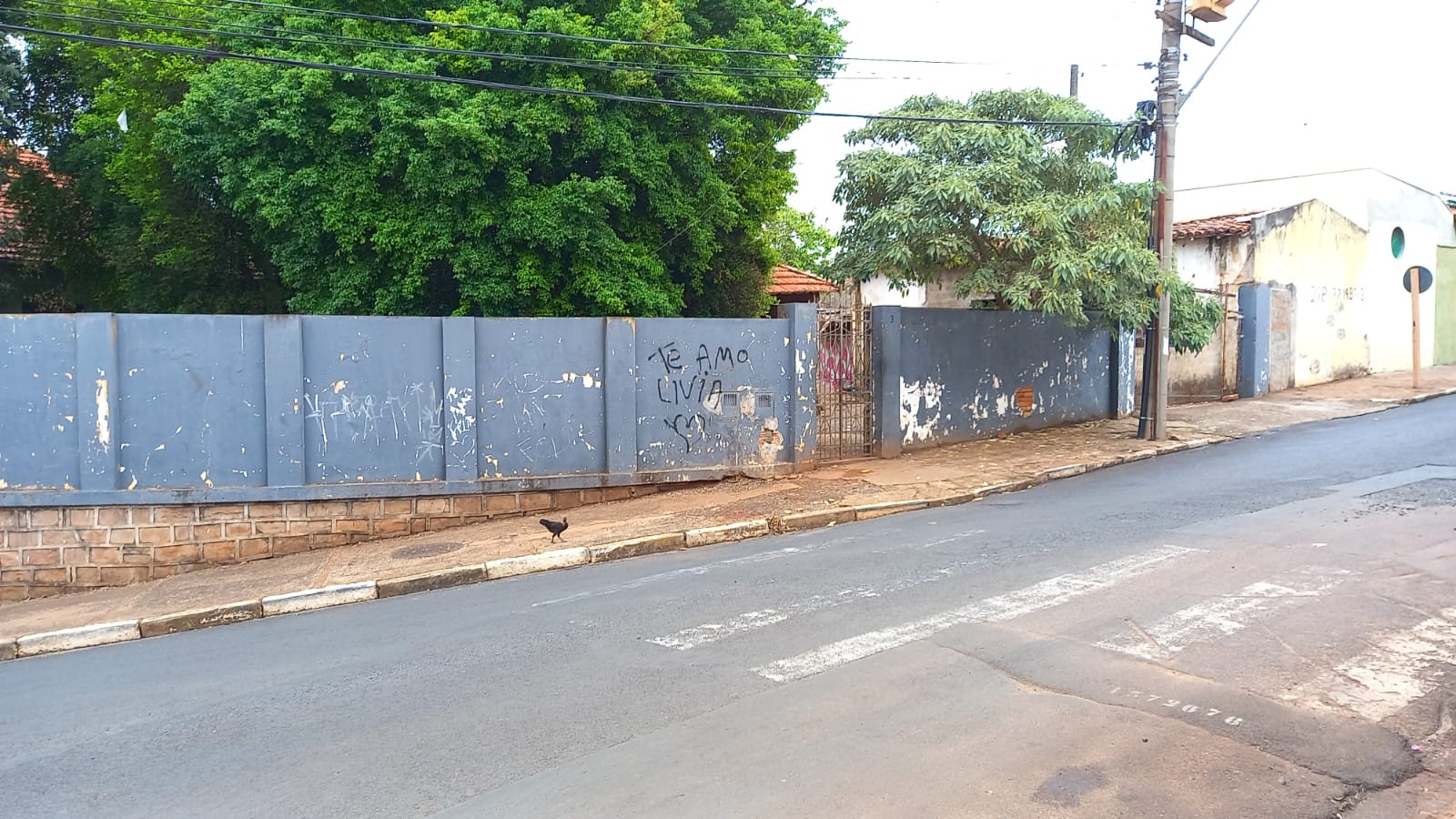 Imóvel abandonado 